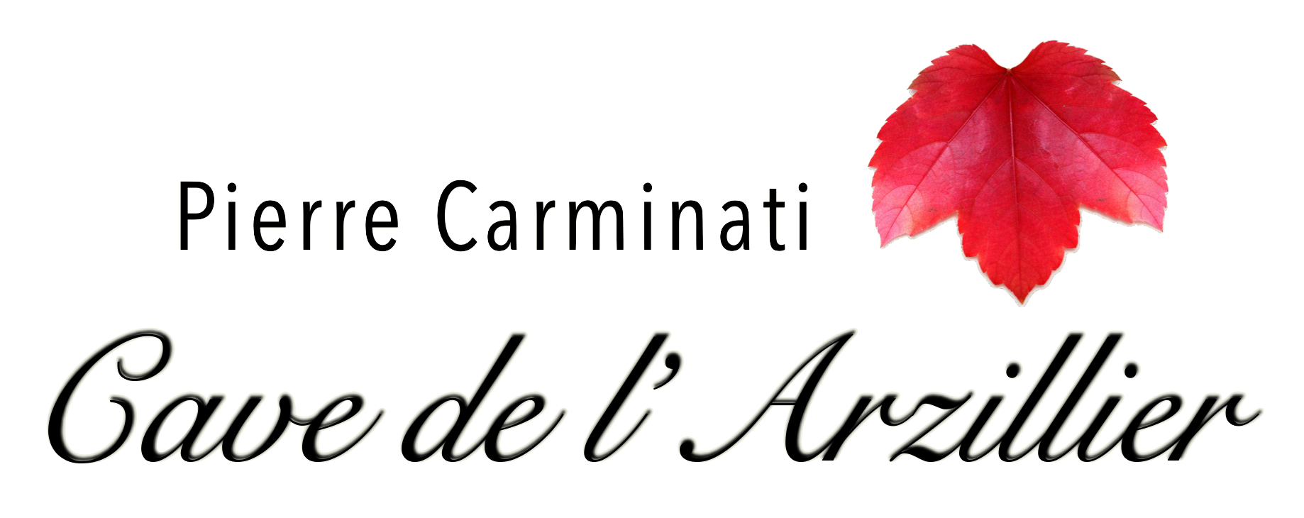 Logo Carminati
